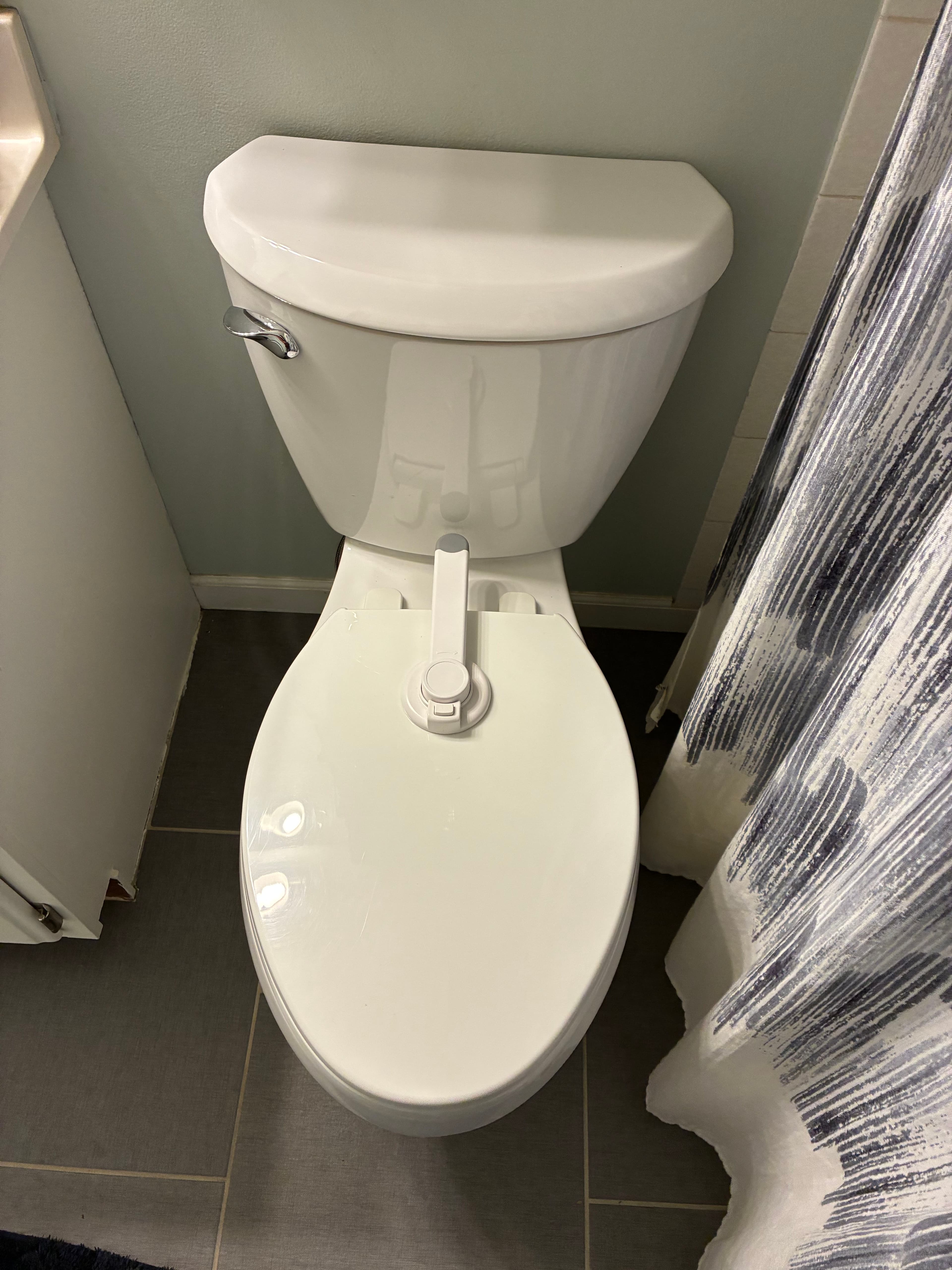 Project Clean Toilet Install Done Right the First Time image