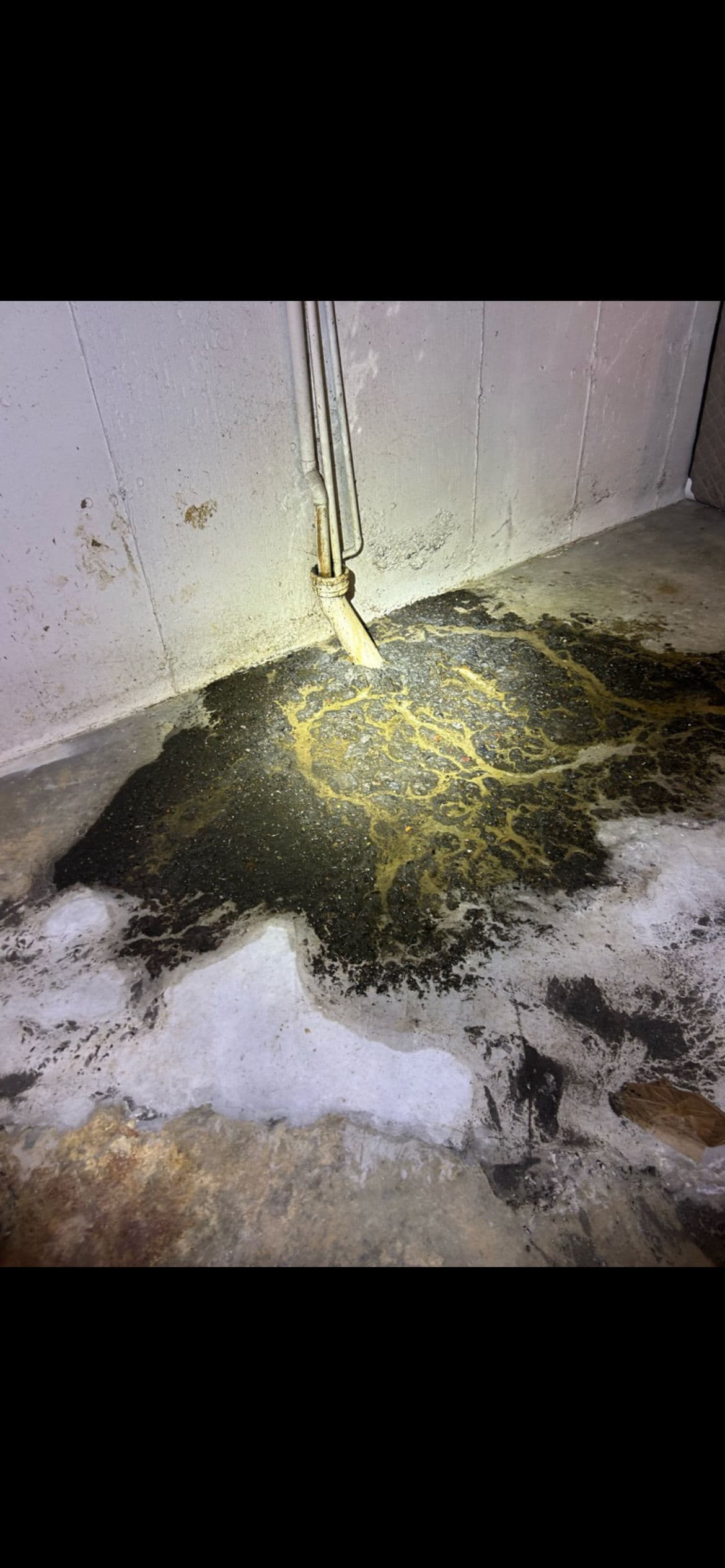 Sewer Backup on the Floor? Here's What That Means