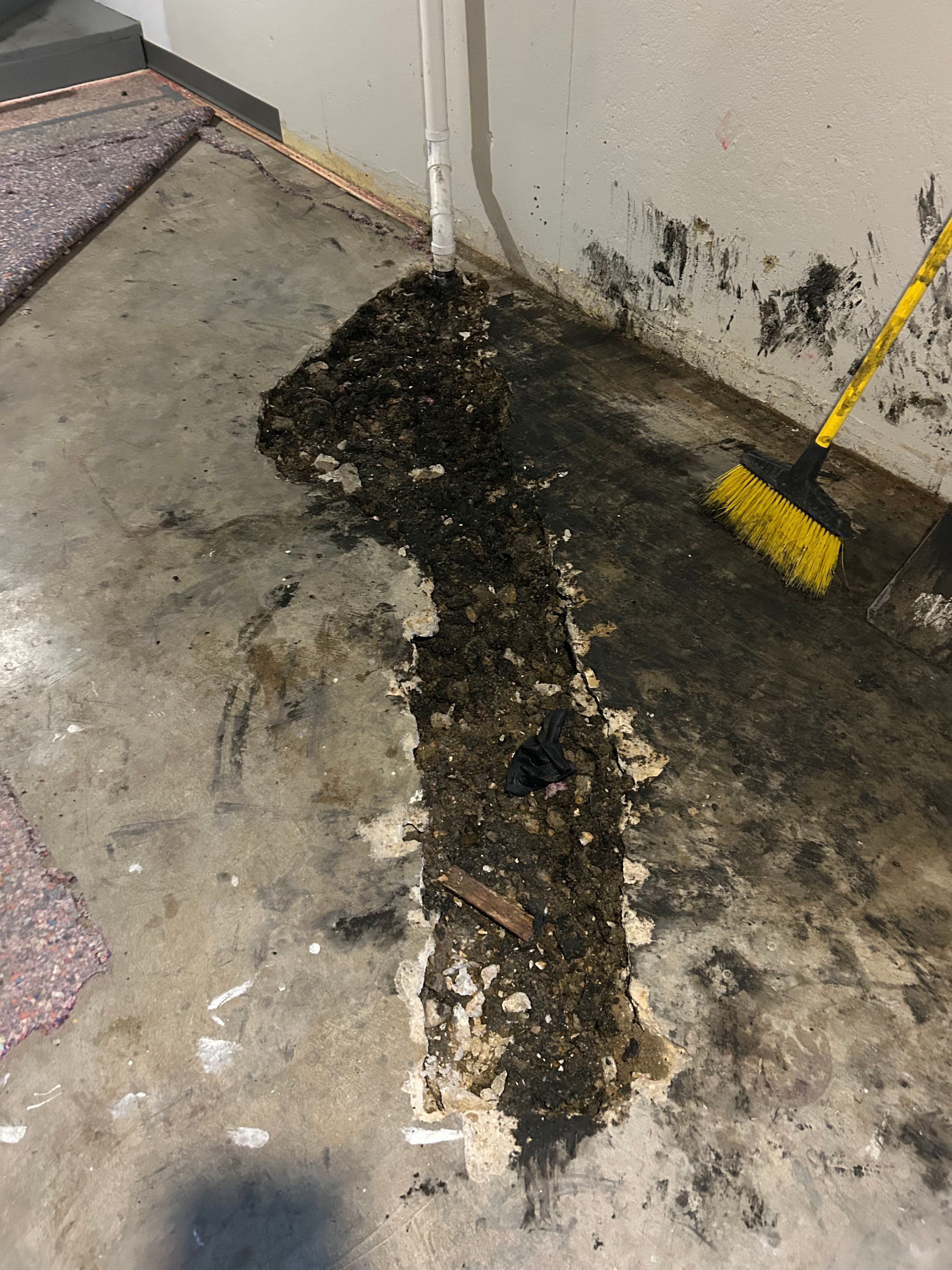 Project Expert Sewer Pipe Repair in the Heart of Your Home image